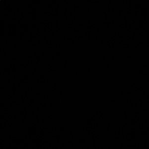 Meet your Posher, Zoe